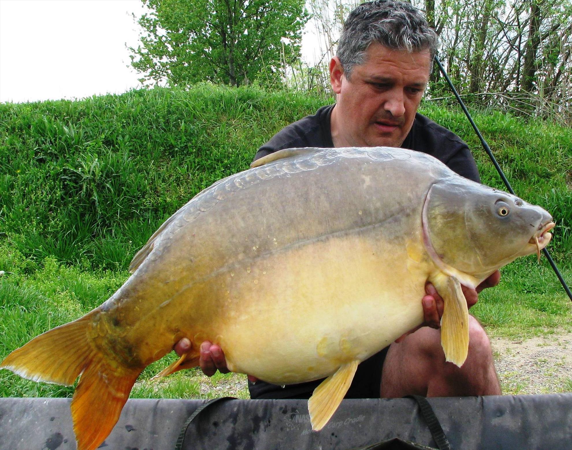 Pelagicevo Jezero  aprilie 2015 - img2062.JPG